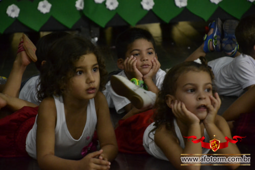 rolim de moura